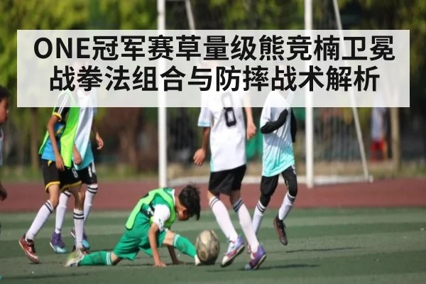 ONE冠军赛草量级熊竞楠卫冕战拳法组合与防摔战术解析